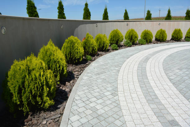 Best Decorative Driveway Pavers  in Murphy, TX